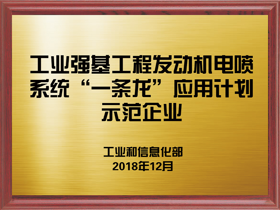7-工業強基工程發動機電噴系統“一條龍”應用計劃示范企業1.jpg